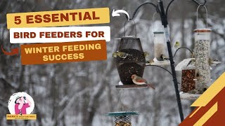 5 Essential Bird Feeders For Winter Feeding Success [upl. by Aneram]