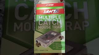 Mouse Trap by JT Eaton  catch mice live [upl. by Eirod571]