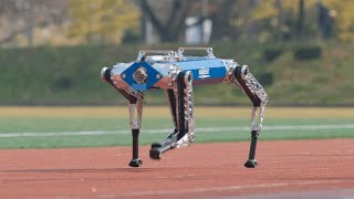 KAIST Hound a Quadruped Robot 100m World Record [upl. by Dode]