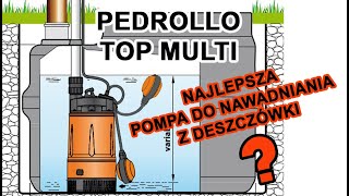 Najlepsza pompa do nawadniania z deszczówki Pedrollo Top Multi 2  nawodnieniaeu [upl. by Erdnaek130]