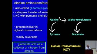 Catabolism of Amino Acids Role of Transaminases Metabolism Made Easy [upl. by Anayi]