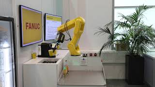 FANUC Barroboter [upl. by Palma]