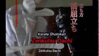 Karate Shotokan  Basic methods of standing  Zenkutsu Dachi Kanazawa coach [upl. by Nittirb468]