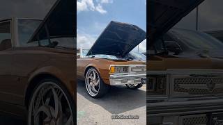 Gold LSX Swapped Caprice Classic on Rucci Wheels at the 2024 HSV Junefest Show [upl. by Jayme]