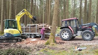 Mit dem Minibagger im Holz Eigenbau Tieflader und Baggerdaumen beim Holzrücken mit Case 940 [upl. by Aileme]