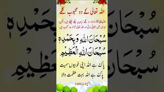 Subhanallahi wa bihamdihi subhanallahil Azeem islamicshorts Quranhadees Nabikibaatein [upl. by Ailak]