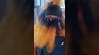 Dread locks hairspring hairstyler music song cover lyrics stylist stylingtools hairstyle [upl. by Enitsenrae948]