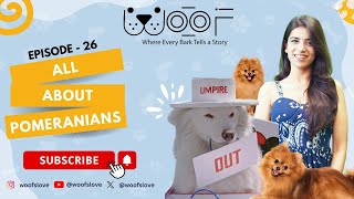 Pomeranian Breed Guide Fluffy Fun and Fabulous  Woof Episode26 [upl. by Varian]