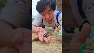 Found a delicious candy roll but ran away shorts shortvideo viralvideo [upl. by Farnham]