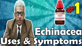 Echinacea Part 1  Uses and Symptoms in Homeopathy by Dr PS Tiwari [upl. by Ehman]