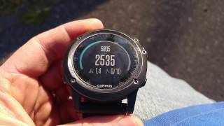 Garmin Fenix 3  Tracking Steps [upl. by Gaddi]