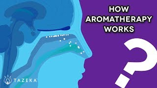 How Aromatherapy Works [upl. by Enaxor]