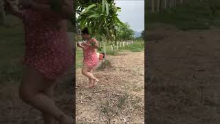 Recogiendo los mangos [upl. by Ahseinaj]