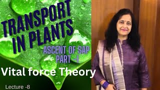 Vital Force Theory  Ascent Of Sap  Best Explanation 👌 👍🏼 Biology Ocean [upl. by Leighton]