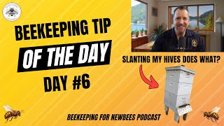 Beekeeping Tip Of The Day Day 6 Slant Your Hives Forward [upl. by Laenej]