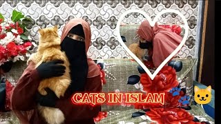 Cats in Islam ❣️🐾🐱  My first cloneDouble role video 🥳  By samatalks860 [upl. by Broeker304]