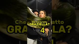 Che fine ha fatto Graziella  Anaconda Assassina [upl. by Nagram]