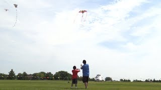 Kites Flying High in the Sky [upl. by Perr]