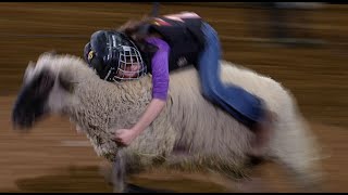 Mutton Bustin highlights  San Antonio Rodeo  Feb 23 2022 [upl. by Nyltac706]