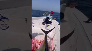 Giant Tuna shaking on the boat fishingtuna fishing shorts [upl. by Ahsats79]