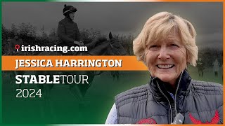 Galway Races Jessica Harrington Stable Tour [upl. by Leelaj]