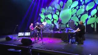 Spyro Gyra Live 2013 [upl. by Goldsmith]