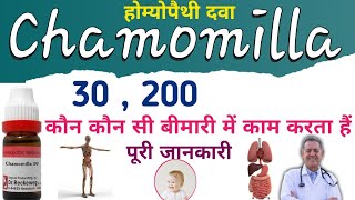 Chamomilla 30  Chamomilla 200  Chamomilla Homoeopathic Medicine uses in Hindi [upl. by Ellenehc]