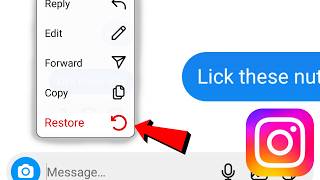 How To Recover Deleted Messages on Instagram [upl. by Einhpad]