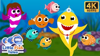 Five Little Fish Jumping on the Kelp  Baby Shark  Little Fish Tales  rhymes [upl. by Loree]