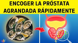 9 Alimentos IMPACTANTES Que Reducen La PRÓSTATA AGRANDADA  Saludable y Feliz [upl. by Loriner516]