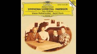 Richard Strauss Parergon on Symphonia Domestica for Piano quotLeft Handquot and Orchestra Op73 1925 [upl. by Nywles]