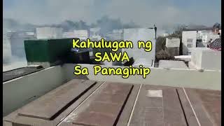 KAHULUGAN NG SAWA SA PANAGINIP [upl. by Catherina]