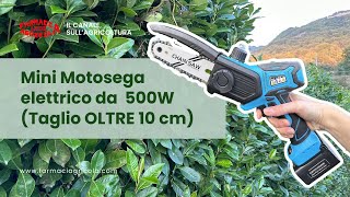 Migliore Mini motosega elettrica per potatura  PS550 da 500W [upl. by Hassin]