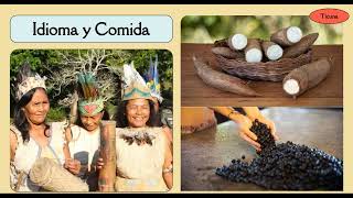 History of the Ticuna Tribe Spanish [upl. by Yerak927]