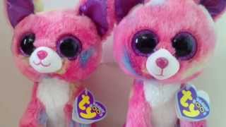 The Difference Between the Beanie Boos Duchess and Cancun [upl. by Aihsotan]