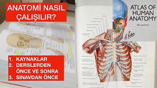 Tıp Fakültesinde Derslere Yaklaşım serisi  Anatomi 1 bölüm [upl. by Ecienahs]