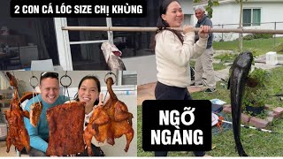 Vlog 2367 ll HEO GÀVỊT QUAY NHÀ ANH TÝ  NGỠ NGÀNG CÂU LÊN 2 CON CÁ LÓC NẶNG 10kg [upl. by Idette154]