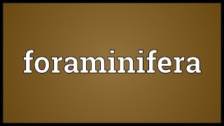 Foraminifera Meaning [upl. by Hoag]