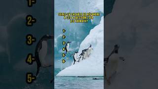 ✨ Quiz sur les animaux 🐬 Estu incollable sur les animaux🥺TIKTOK [upl. by Stieglitz]