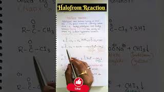 ❌ Halofrom Reaction 🔥🔥🔥 shorts neet iitjee jeemains boards viralshorts [upl. by Nylrem630]