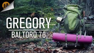 Gregory Baltoro 70L Backpack  Field Review [upl. by Ahsiadal76]