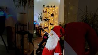 Christmas time Eerst nog Sinterklaas vieren trending shortfeed kerst viralshort kerstmis fyp [upl. by Melly]