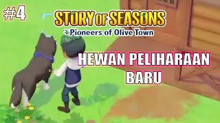 Yuhuuu Pet Baruu  Gameplay Story Of Seasons Pioneers of Olive Town [upl. by Michey]