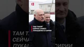 Там такой сейчас замес Лукашенко о Сирии лукашенко политика сирия новости война асад [upl. by Anait]