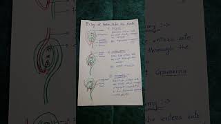 ENTRY OF POLLEN TUBE INTO OVULE 12TH amp NEET [upl. by Preston]