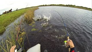 Рыбалка на щуку в Ирландии секреты и советы Pike fishing in Ireland tips amp tricks [upl. by Binni303]