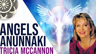 Tricia McCannon Angels Anunnaki amp The Gods [upl. by Eahsal]