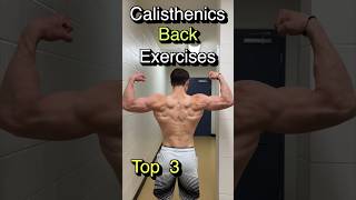 Best Calisthenics Back exercises [upl. by Edualcnaej998]