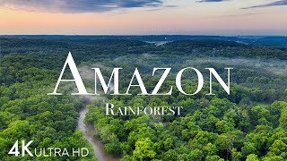 Amazon in 4K  The World’s Largest Tropical Rainforest  Aerial Drone  Scenic Relaxation Film [upl. by Erej]