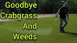 Killing Crabgrass and Weeds in one applicationPlus Fungicide [upl. by Htebezile450]